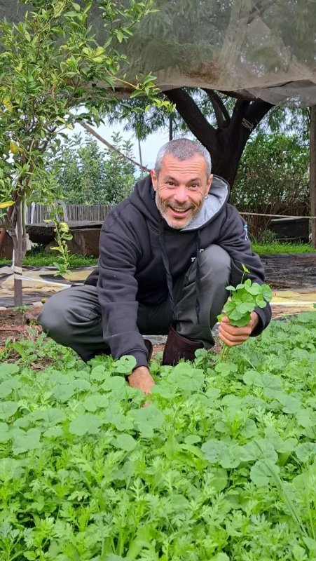 שיבת המינים