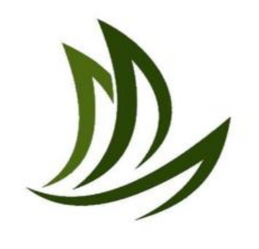 איתן גרונשטיין 